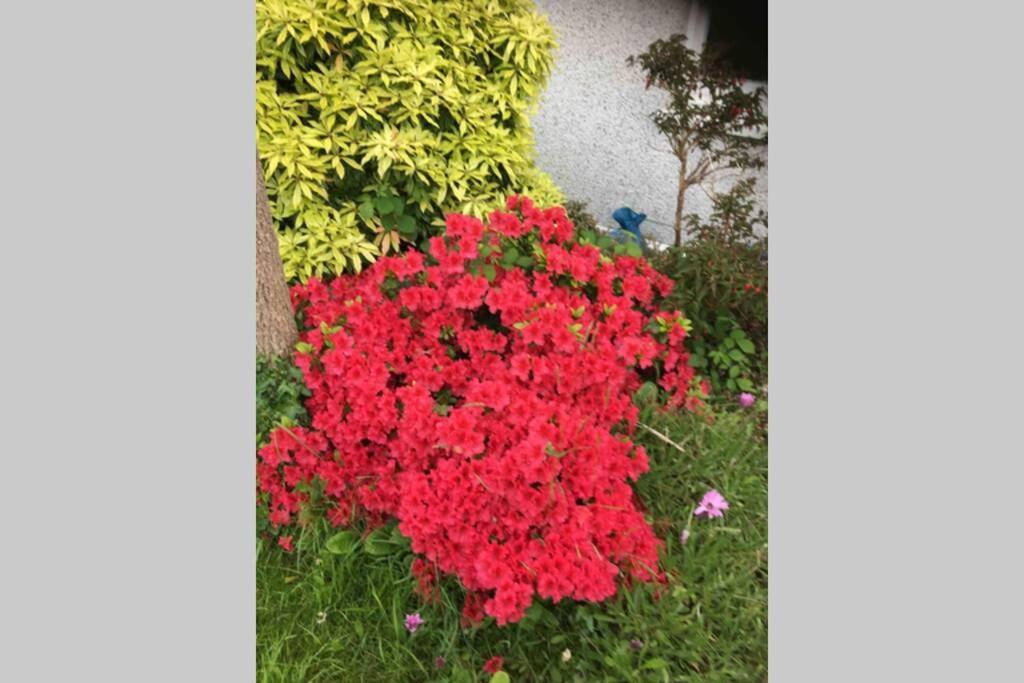 Lovely 3 Bed House Close To Carlyon Bay Beach! Kültér fotó